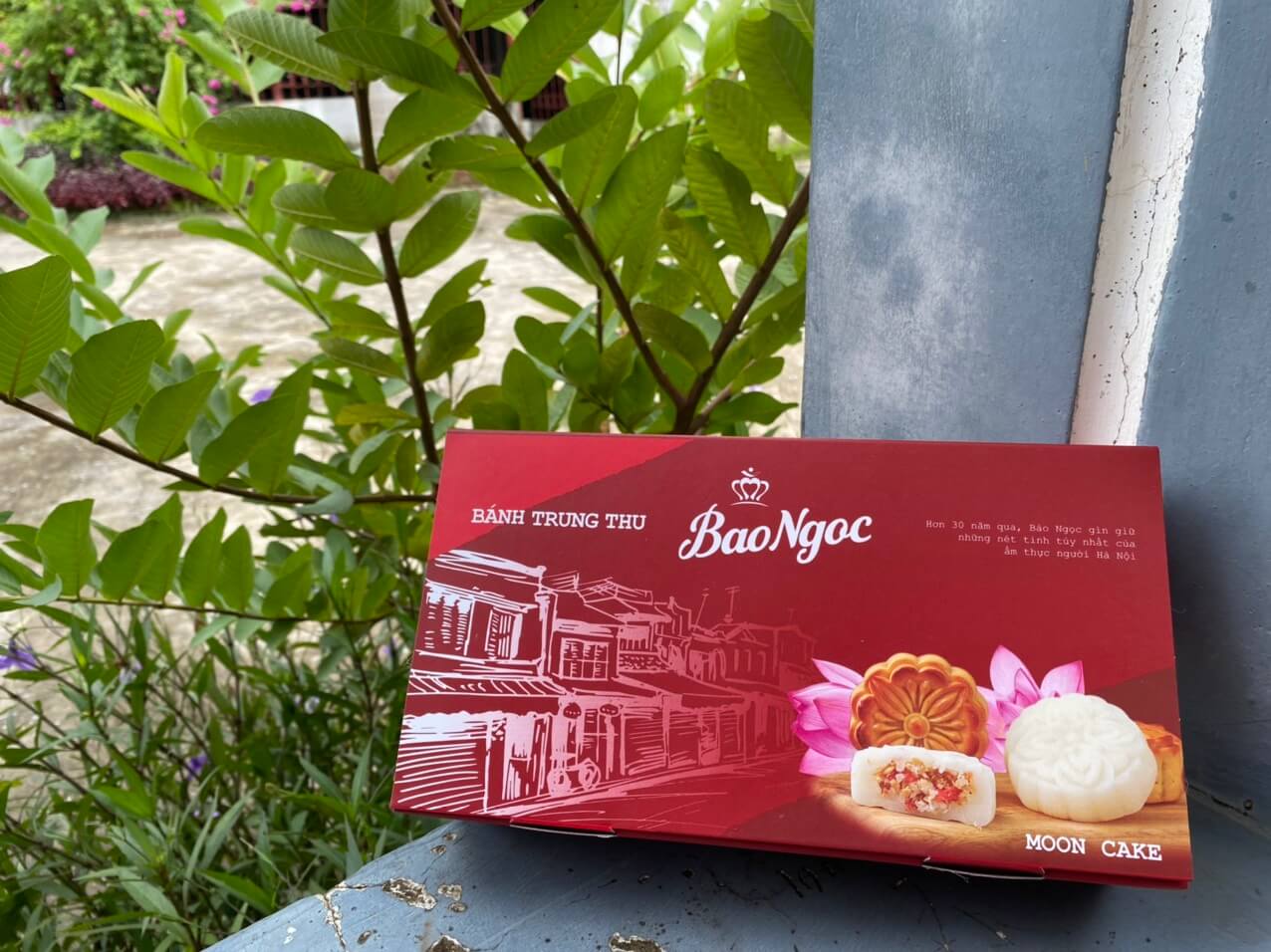 Hop-giay-dung-banh-keo (2)